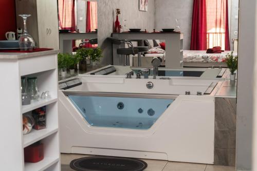 Luksuzni apartman Bordeaux City Center u Novom Sadu sa pogledom na Sinagogu.