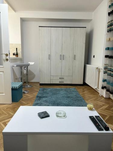 Apartman Time Out Novi Sad stan na dan smestaj na Bulevaru oslobodjenja blizu centra i sinagoge sa balkonom parkingom