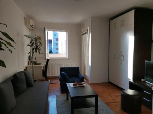 Savremeno opremljen enterijer dnevne sobe Apartman Luminii u Novom Sadu sa tamnosivim kaučem i prostranom terasom.