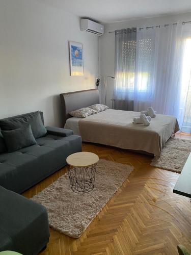 Detelina New Novi Sad stan na dan smestaj u Dr Svetislava Kasapinovica na Novoj Detelinari kod Sajma sa balkonom parkingom