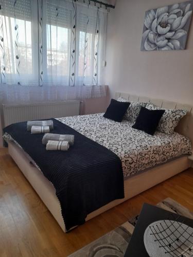 Savremeno opremljen enterijer Apartman Aurora na Grbavici sa prostranim dnevnim boravkom i modernom čajnom kuhinjom.